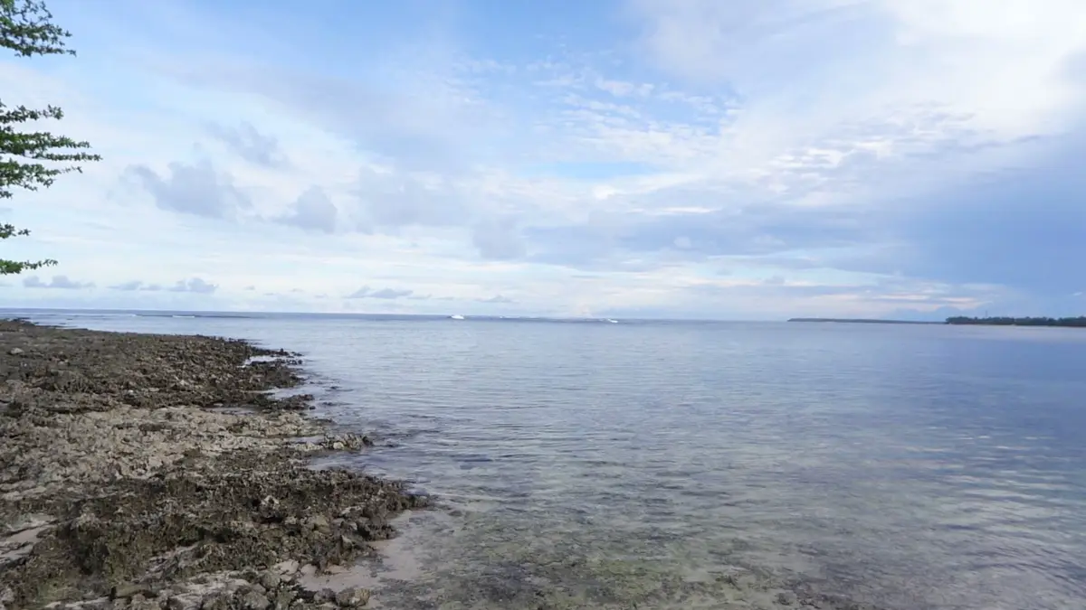 Calm sea and rocky shoreline at the festival venue