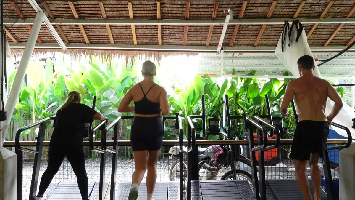 Three guests on ski erg machines in front of tropical plants